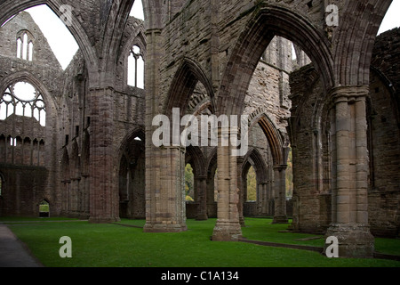 Ruines de l'abbaye de Tintern en Tintern, Monmouthshire, Wales, UK Banque D'Images