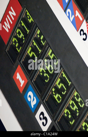 Walthamstow Stadium Greyhound Racing dog track est de Londres en Angleterre. De près de l'cotes pour chaque chien. Banque D'Images