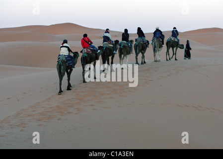 Les touristes en voyage de camping d'un chameau dans le désert du Sahara, l'Erg Chebbi, Maroc, Afrique du Nord. Banque D'Images