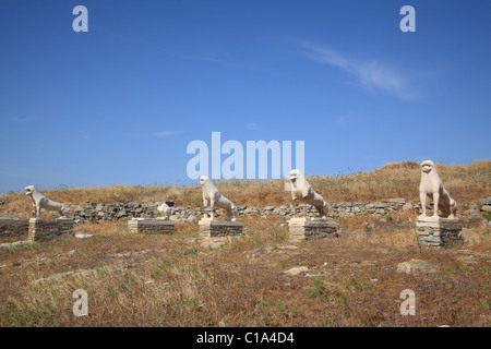 Statues, lion Naxian Terrasse des Lions, Delos, Îles Cyclades, Grèce Banque D'Images