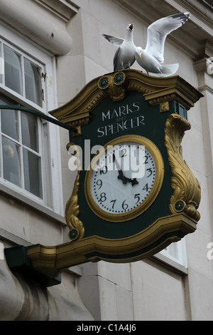 Deux mouettes photographié sur un Marks and Spencer's réveil à Worthing, West Sussex, UK. Banque D'Images