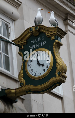 Deux mouettes photographié sur un Marks and Spencer's réveil à Worthing, West Sussex, UK. Banque D'Images