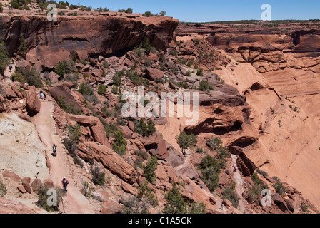 Randonneurs sur White House Trail Canyon de Chelly National Monument Arizona USA Banque D'Images