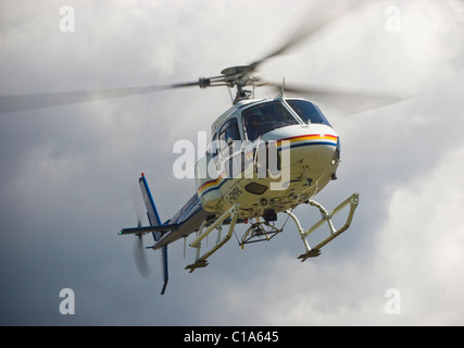 Gendarmerie royale du Canada (GRC) AS 350B3 Ecureuil (écureuil) également connu sous le nom d'ASTAR. Kelowna BC, Canada Banque D'Images