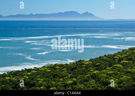 False Bay, Western Cape, Afrique du Sud Banque D'Images