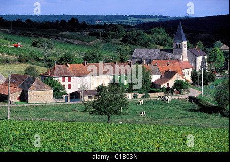 France, Saône et Loire, martailly les brancions village Banque D'Images