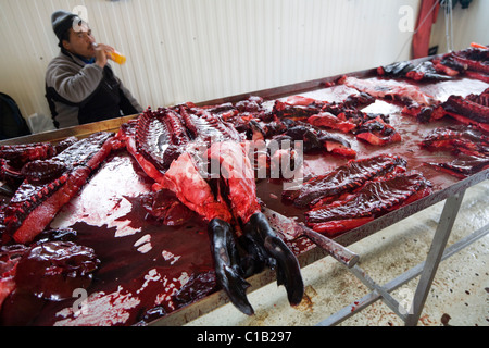 La viande de phoque prêts à être vendus au marché aux poissons. Qaqortoq (Julianehåb), le sud du Groenland Banque D'Images