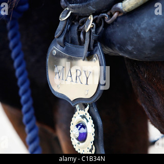 Un homme apprend l'art de labour à l'aide de chevaux. Banque D'Images