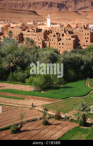 Minaret d'une mosquée domine ce ksour (bastion communal de kasbahs) dans l'oasis de la région du Haut Atlas, Maroc Banque D'Images