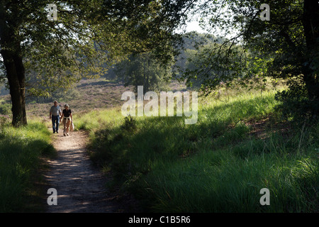 Les randonneurs dans une lande Banque D'Images