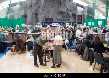 Les éleveurs et visiteurs à WCF World Show le 13 mars 2011 à Varsovie, Pologne Banque D'Images