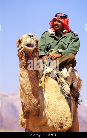 La Jordanie, Wadi Rum, la patrouille de police ou de chameau Corp du désert sur leurs dromadaires Banque D'Images