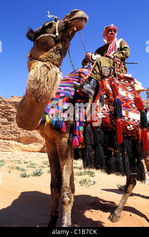 La Jordanie, Wadi Rum, la patrouille de police ou de chameau Corp du désert sur leurs dromadaires Banque D'Images