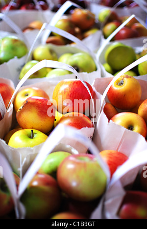 Les pommes à vendre dans des sacs à un marché agricole local. Banque D'Images