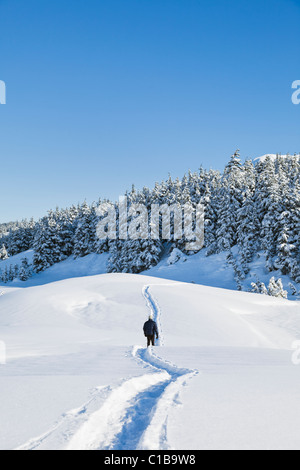 Un male hiker en raquettes sur un sentier en Alaska près de la neige sapins et montagnes en arrière-plan. Banque D'Images