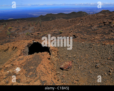 La Sierra Negra, Isabela Island, îles Galapagos (l'un des plus actifs des Galapagos volcans)--formation de tubes de lave unique Banque D'Images