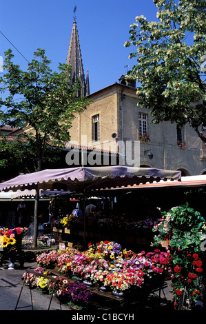 France, Hautes Pyrenees, décrochage au marché aux fleurs Banque D'Images