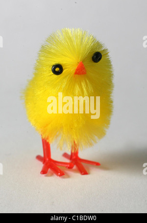Un poussin de Pâques Banque D'Images