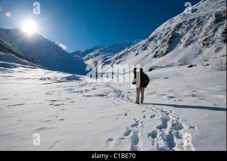 Randonneur sur BYRON GLACIER TRAIL Banque D'Images