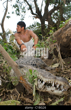 Les agriculteurs locaux Soumettre un alligator qui s'est échappé lors de l'Ouragan Karl a frappé la côte est du Mexique le 17 septembre 2010. Banque D'Images