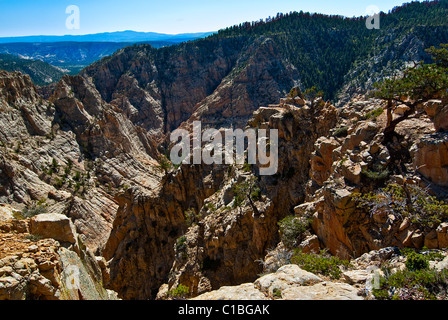 USA, Utah, Dixie NF. Box-Death sauvage creux de l'enfer proche Pont du fédérateur. Banque D'Images