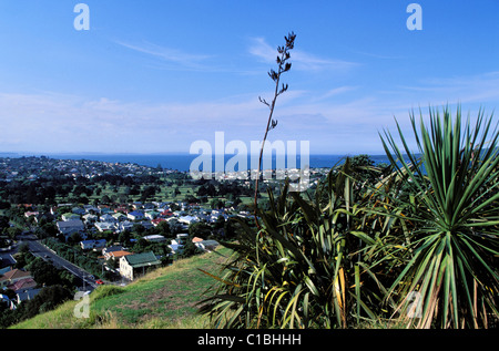 Nouvelle Zélande, île du nord, Auckland Banque D'Images