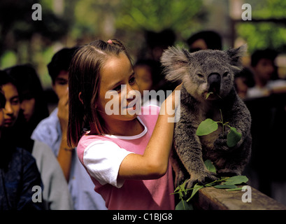 Fillette de huit ans animaux domestiques un koala pour un Koala Park, Sydney, Australie Banque D'Images