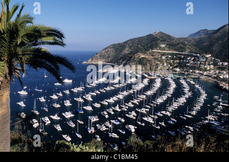 États-unis, Californie, l'île de Catalina, Avalon, la marina Banque D'Images