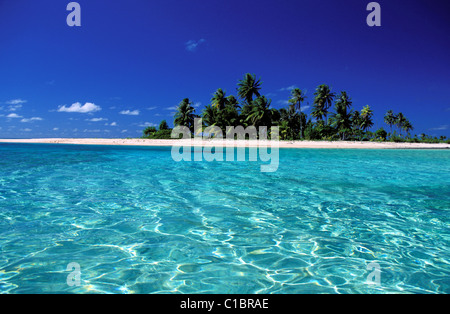 La France, la Polynésie française, l'île de Tikehau (Tuamotu) le Banque D'Images