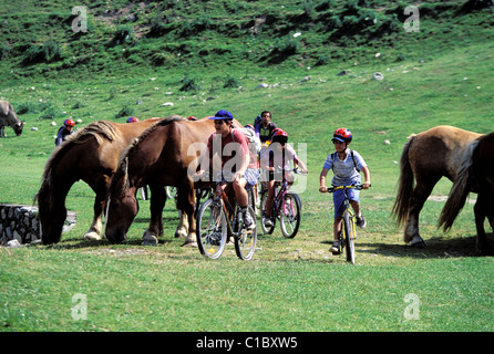 France, Hautes Pyrenees, les chevaux près du col d'Aspin Banque D'Images