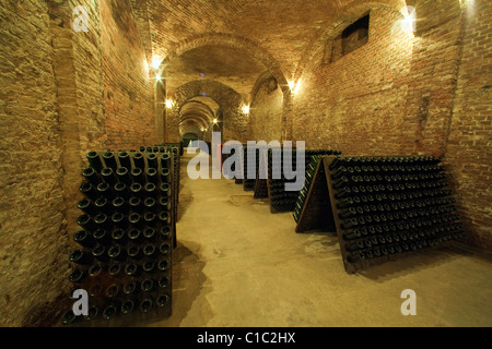 Cathédrale vin souterraine Bosca à Canelli, Asti, Piémont, Italie, Europe Banque D'Images