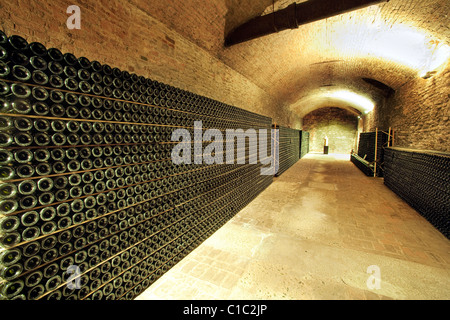 Cathédrale vin souterraine Bosca à Canelli, Asti, Piémont, Italie, Europe Banque D'Images