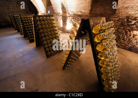 Cathédrale vin souterraine Bosca à Canelli spumante, Asti, bouteilles, Piémont, Italie, Europe Banque D'Images