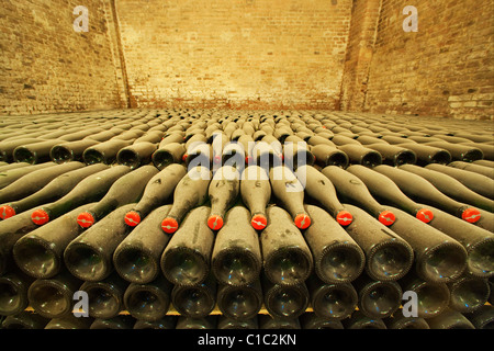 Cathédrale vin souterraine Bosca à Canelli,un lit de bouteilles vintage, Asti, Piémont, Italie Banque D'Images