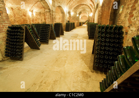 Cathédrale vin souterraine Bosca à Canelli, Asti, Piémont, Italie Banque D'Images