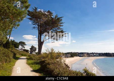 Sentier le long de la côte au-dessus de la plage des Sables Blancs à Concarneau, Finistère, Bretagne, France Banque D'Images