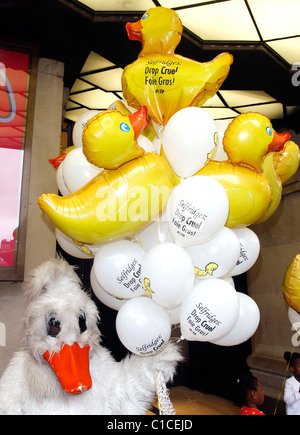 Un canard PETA manifestations devant de Selfridges dans une tentative de les arrêter la vente de Foie Gras dans leur magasin Londres, Angleterre - 09.04.09 Banque D'Images