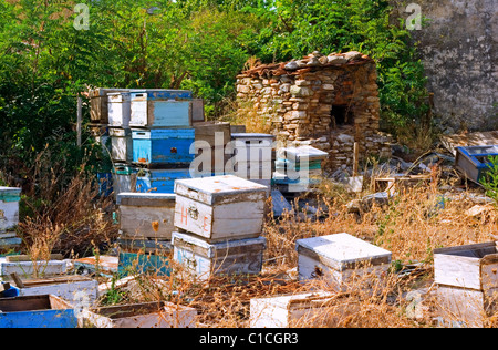 Ancienne anciennes ruches étant stocké dans un champ en Turquie Banque D'Images