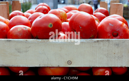 Boîte en bois plein de fruits rouges tomates non uniforme sur la vente à un marché hebdomadaire de plein air en Turquie Banque D'Images