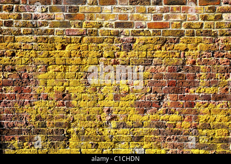 Close up of brick wall Banque D'Images
