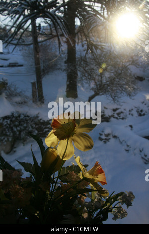 Beaucoup de neige dans le nord du Pays de Galles, Grande Bretagne uk Banque D'Images