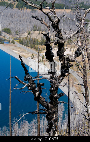 Lac Yellowstone,sortie,Butte sur chaîne Teton Mountains,Dot Island, Steamboat Point, baie de Carex,le parc de Yellowstone, Wyoming, USA Banque D'Images
