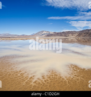 Au-dessus de la moyenne de pluie d'hiver crée petit lac sur le Devil's Racetrack playa, Death Valley National Park, Californie Banque D'Images