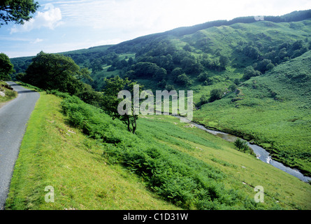 Irfon Valley, Abergwesyn Powys, Pays de Galles, la Route des vallées, Toucheurs gallois routes UK Banque D'Images