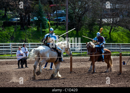 À propos de l'investiture de prendre contact dans un match de tournoi à la Sonora en Californie Faire celtique Banque D'Images