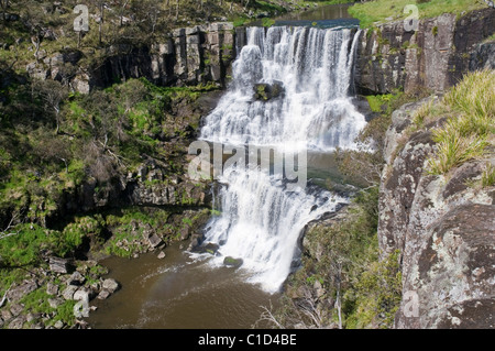 Ebor Falls sur la rivière Guy Fawkes en Nouvelle Galles du Sud en Australie Banque D'Images