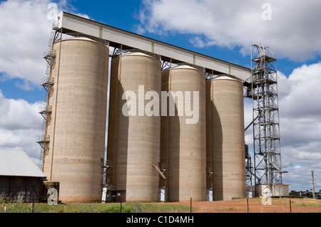 Grands silos à grains le long de la ligne de chemin de fer près de Leeton New South Wales Banque D'Images