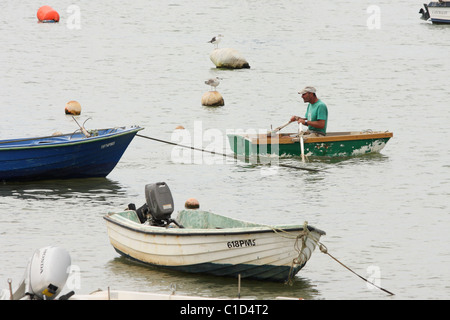 L'homme en T-shirt vert lignes à la rame par un petit bateau vert dans un environnement de bateaux et mouettes. Alvor, Algarve Portugal Banque D'Images
