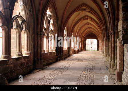 France, Vosges, Saint Die des Vosges, cloître dans la cathédrale Banque D'Images