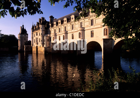 France, Indre et Loire, Vallée de la Loire (Châteaux de la Loire), du château de Chenonceau Banque D'Images